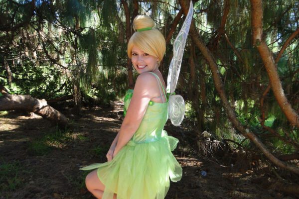 tinkerbell party theme for child's birthday